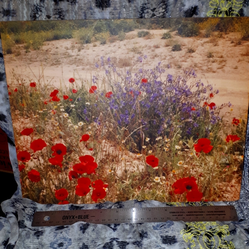 Poppies art print.